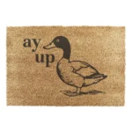 9060 AYUPDUCK 5.webp