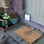 6040 MISTLETOE 6.webp