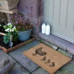 6040 HENANDCHICKS 6.webp