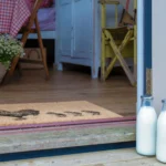 9060 HENANDCHICKS 6.webp