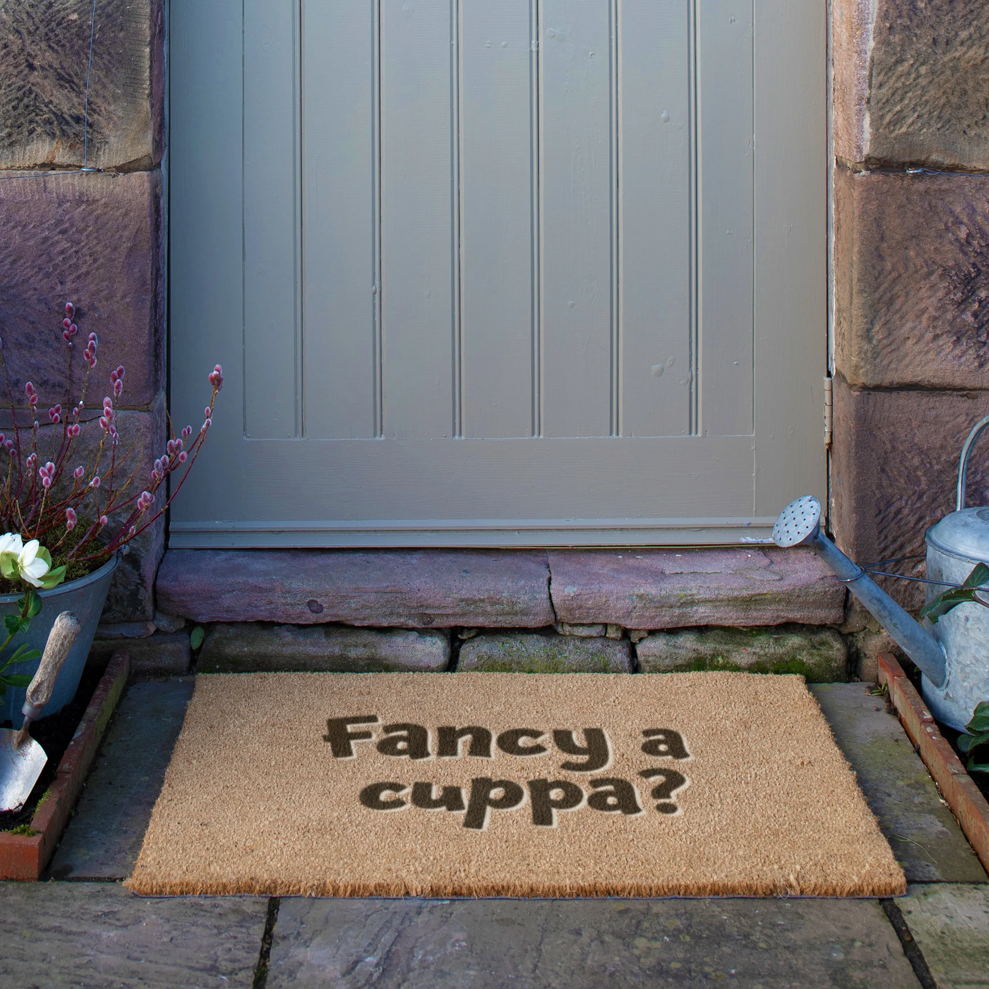 9060W FANCYACUPPA 4.webp