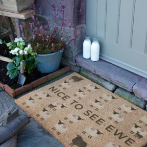 9060W NICETOSEEEWE 3.webp