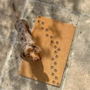 frankiethedaachshund