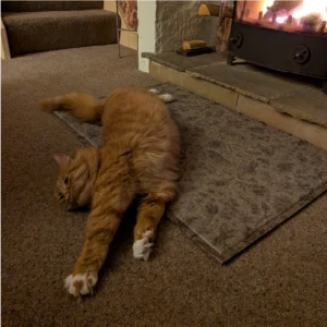 talesfromwisteriacottage hare