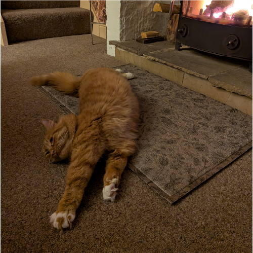 talesfromwisteriacottage hare