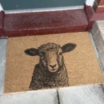 ugc lamb