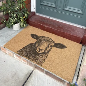 ugc lamb 2