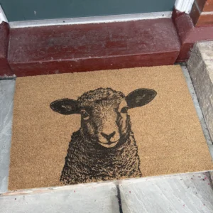 ugc lamb